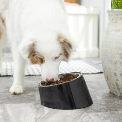 Frisco Stainless Steel Bowl With Elevated Stand -Pet Store 216020 PT7. AC SS1800 V1605662208