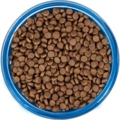 Frisco Chevron Design Glass Bowl With Silicone Sleeve -Pet Store 216049 PT4. AC SS1800 V1591020735