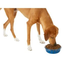 Frisco Chevron Design Glass Bowl With Silicone Sleeve -Pet Store 216049 PT6. AC SS1800 V1605654757