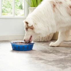 Frisco Chevron Design Glass Bowl With Silicone Sleeve -Pet Store 216049 PT7. AC SS1800 V1605664319