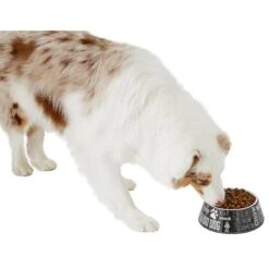 Frisco Doggie Melamine Bowl 7 Frisco Doggie Melamine Bowl -Pet Store 216062 PT6. AC SS1800 V1605663429