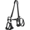 Frisco Front & Rear Lift Handicapped Support Dog Harness 1 Frisco Front & Rear Lift Handicapped Support Dog Harness -Pet Store 220372 MAIN. AC SS1800 V1596501363