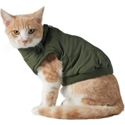 Frisco Lightweight Insulated Bomber Dog & Cat Jacket 4 Frisco Lightweight Insulated Bomber Dog & Cat Jacket -Pet Store 223914 PT2. AC SS1800 V1599480960