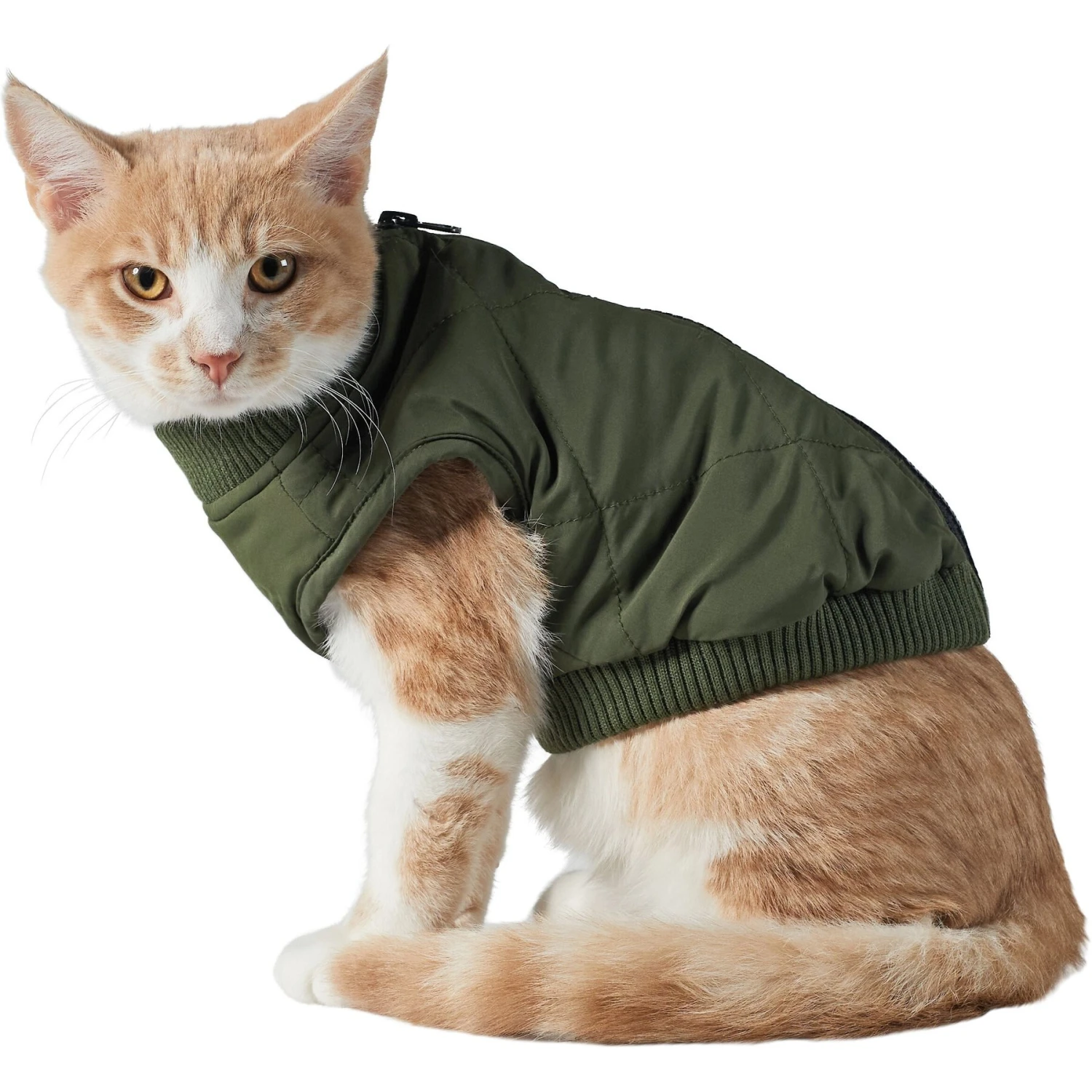 Frisco Lightweight Insulated Bomber Dog & Cat Jacket Frisco Lightweight Insulated Bomber Dog & Cat Jacket -Pet Store 223914 PT2. AC SS1800 V1599480960