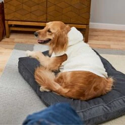 Frisco Plush Fur Dog & Cat Hoodie -Pet Store 224209 PT7. AC SS1800 V1637685435