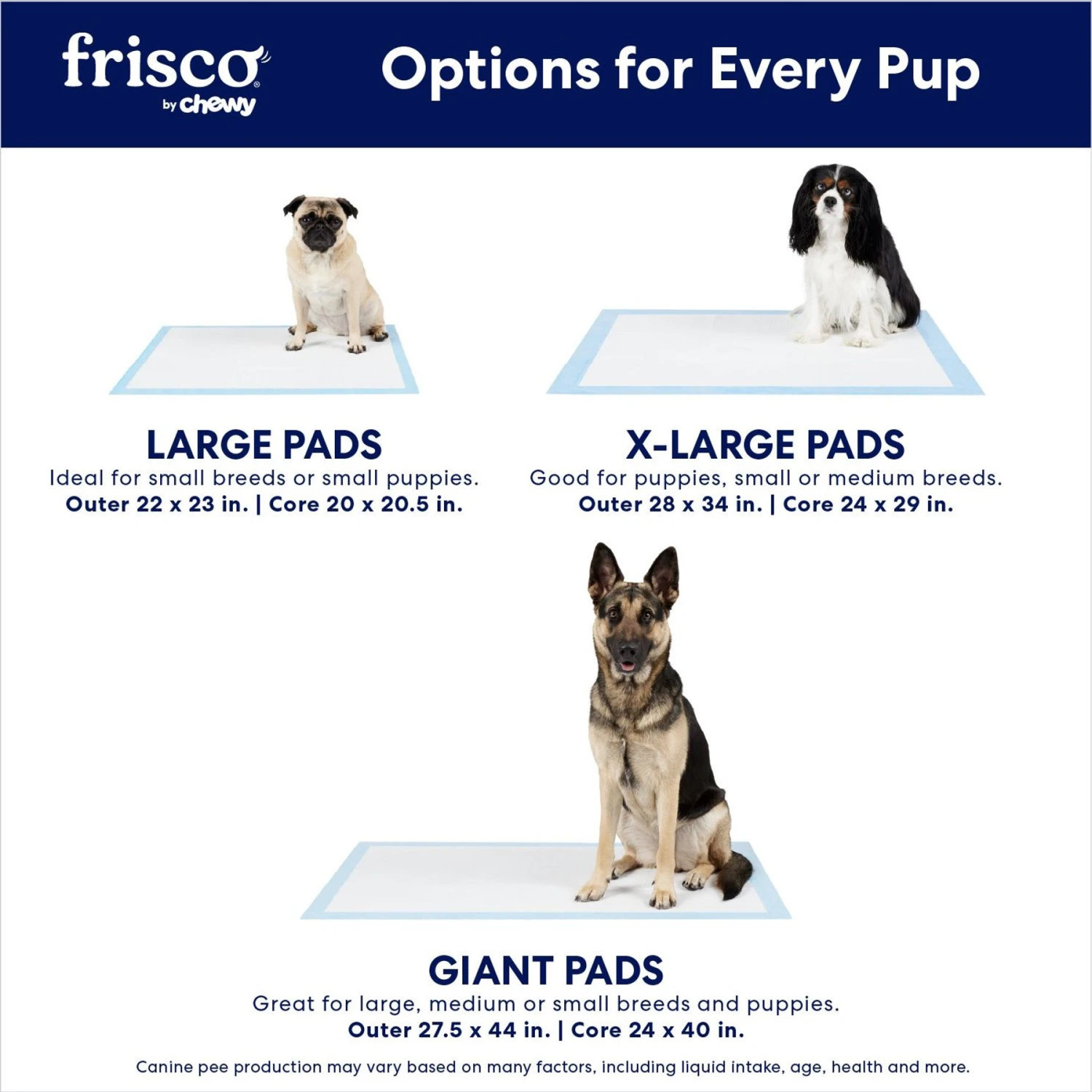 Frisco Non-Skid Ultra Premium Dog Training & Potty Pads Frisco Non-Skid Ultra Premium Dog Training & Potty Pads -Pet Store 227448 PT3. AC SS1800 V1674671093
