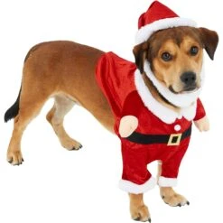 Frisco Front Walking Santa Dog & Cat Costume, 1 Count -Pet Store 228785 PT3. AC SS1800 V1631300866