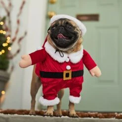 Frisco Front Walking Santa Dog & Cat Costume, 1 Count -Pet Store 228785 PT7. AC SS1800 V1601560869