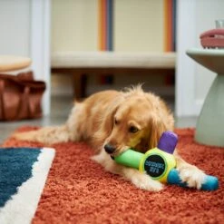 Frisco Retro Whack It! Ballistic Nylon Plush Squeaky Dog Toy -Pet Store 230302 PT3. AC SS1800 V1601947283