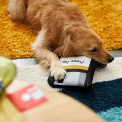 Frisco Retro Floppy Disc Ballistic Nylon Plush Squeaky Dog Toy -Pet Store 230304 PT3. AC SS1800 V1602639753