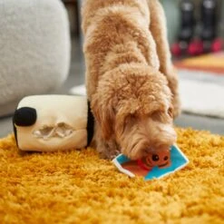 Frisco Retro Camera 2-in-1 Rip For Surprise Plush Squeaky Dog Toy -Pet Store 230306 PT3. AC SS1800 V1602639779