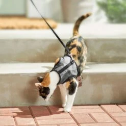 Frisco Wrap Cat Harness 7 Frisco Wrap Cat Harness -Pet Store 230691 PT5. AC SS1800 V1601096758