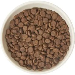 Frisco Double-Sided Ceramic Elevated Cat Bowl 5 Frisco Double-Sided Ceramic Elevated Cat Bowl -Pet Store 232081 PT3. AC SS1800 V1605145964