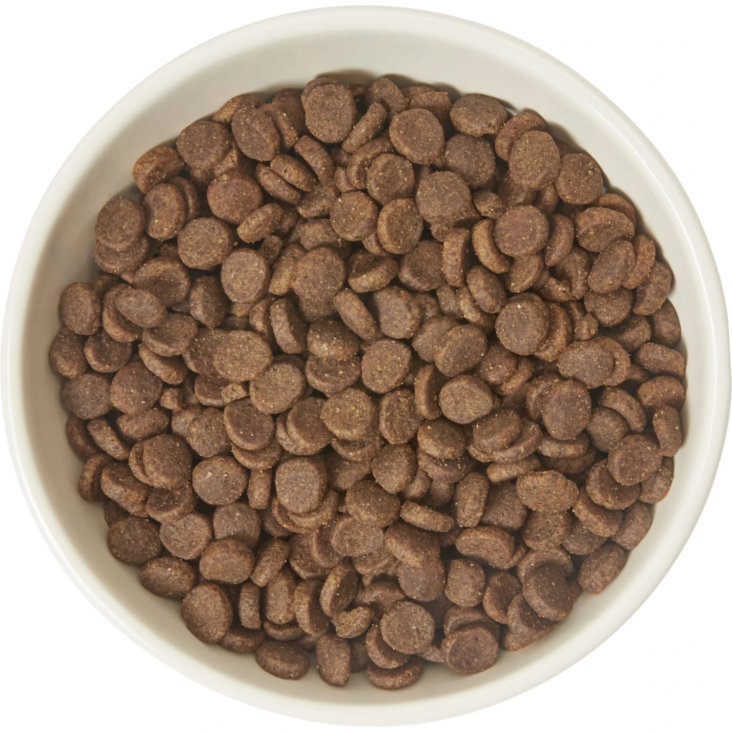 Frisco Double-Sided Ceramic Elevated Cat Bowl Frisco Double-Sided Ceramic Elevated Cat Bowl -Pet Store 232081 PT3. AC SS1800 V1605145964