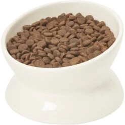 Frisco Double-Sided Ceramic Elevated Cat Bowl 6 Frisco Double-Sided Ceramic Elevated Cat Bowl -Pet Store 232081 PT6. AC SS1800 V1684760471