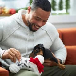 Frisco Holiday My First Christmas Bone Plush Squeaky Dog Toy -Pet Store 233166 PT2. AC SS1800 V1601304755