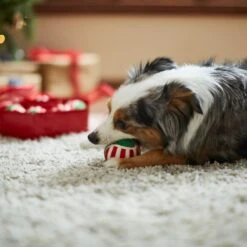 Frisco Holiday Wreath Fetch Squeaky Tennis Ball Dog Toy -Pet Store 233189 PT3. AC SS1800 V1665759769