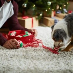 Frisco Holiday Wreath Fetch Squeaky Tennis Ball Dog Toy -Pet Store 233189 PT5. AC SS1800 V1601919657