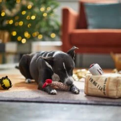 Frisco Holiday Fragile Box Hide & Seek Puzzle Plush Squeaky Dog Toy -Pet Store 233274 PT4. AC SS1800 V1665759767