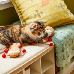 Frisco Holiday Gingerbread Pals Plush Kicker Cat Toy With Catnip, 2 Count -Pet Store 233303 PT2. AC SS1800 V1602172387