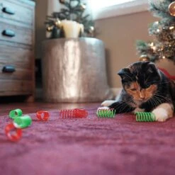 Frisco Holiday Springs Cat Toy, 10 Count -Pet Store 233307 PT2. AC SS1800 V1602172363