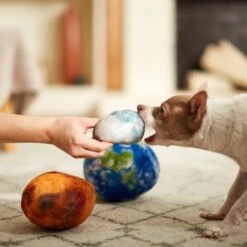 Frisco Earth, Mars, And Moon Plush Squeaky Dog Toy -Pet Store 233587 PT3. AC SS1800 V1600973771