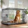 Frisco Heavy Duty Enhanced Lock Double Door Fold & Carry Wire Dog Crate & Mat Kit 2 Frisco Heavy Duty Enhanced Lock Double Door Fold & Carry Wire Dog Crate & Mat Kit -Pet Store 233736 MAIN. AC SS1800 V1667229247
