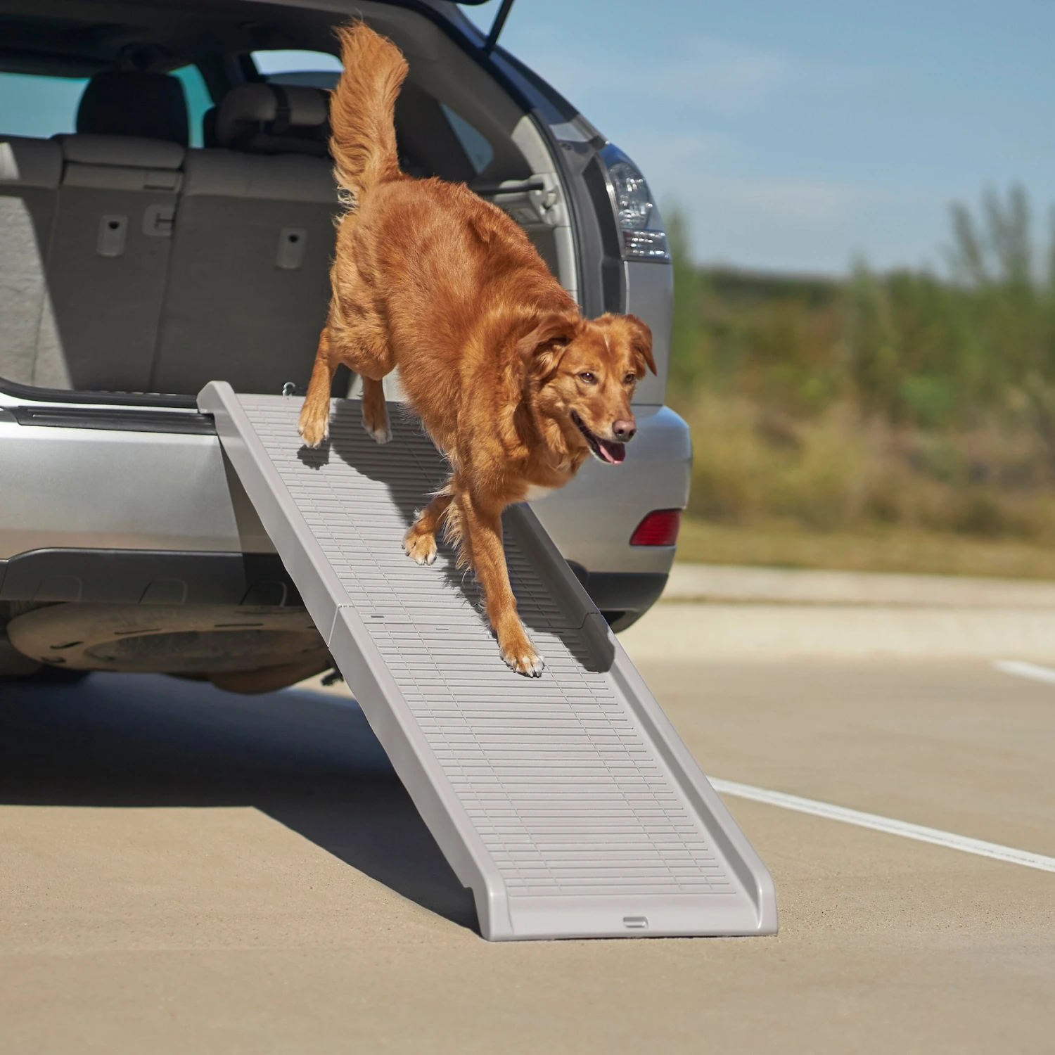 Frisco Bi-Fold Travel Dog Car Ramp Frisco Bi-Fold Travel Dog Car Ramp -Pet Store 235934 MAIN. AC SS1800 V1606230153