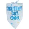 Frisco Birthday Boy Personalized Dog & Cat Bandana