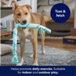 Frisco Double Fun Rope Crinkle Fetch Dog Toy -Pet Store 242137 PT3. AC SS1800 V1695242178