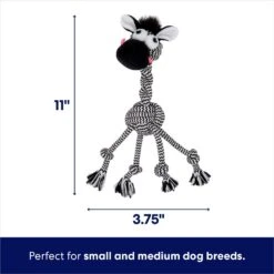 New Release -Pet Store 242163 PT1. AC SS1800 V1695084258