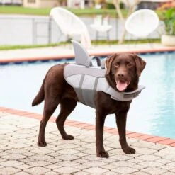 Frisco Shark Dog Life Jacket -Pet Store 247887 PT7. AC SS1800 V1616505777