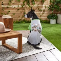 Frisco Happy Lil' Camper Dog & Cat T-Shirt -Pet Store 248789 PT7. AC SS1800 V1613670226