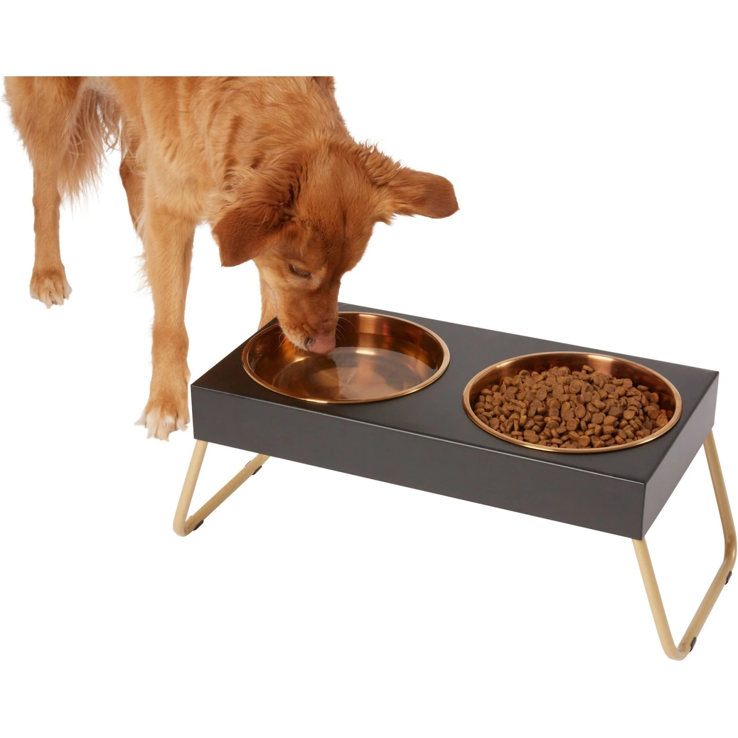 Frisco Copper Stainless Steel Elevated Foldable Double Dog & Cat Bowls Frisco Copper Stainless Steel Elevated Foldable Double Dog & Cat Bowls -Pet Store 253060 MAIN. AC SS1800 V1616073913