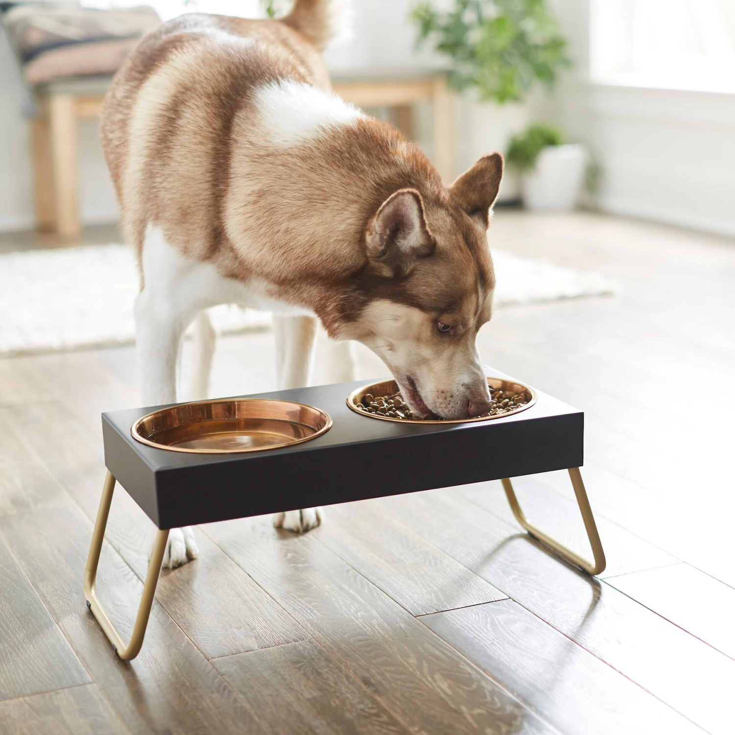 Frisco Copper Stainless Steel Elevated Foldable Double Dog & Cat Bowls Frisco Copper Stainless Steel Elevated Foldable Double Dog & Cat Bowls -Pet Store 253060 PT2. AC SS1800 V1616594243