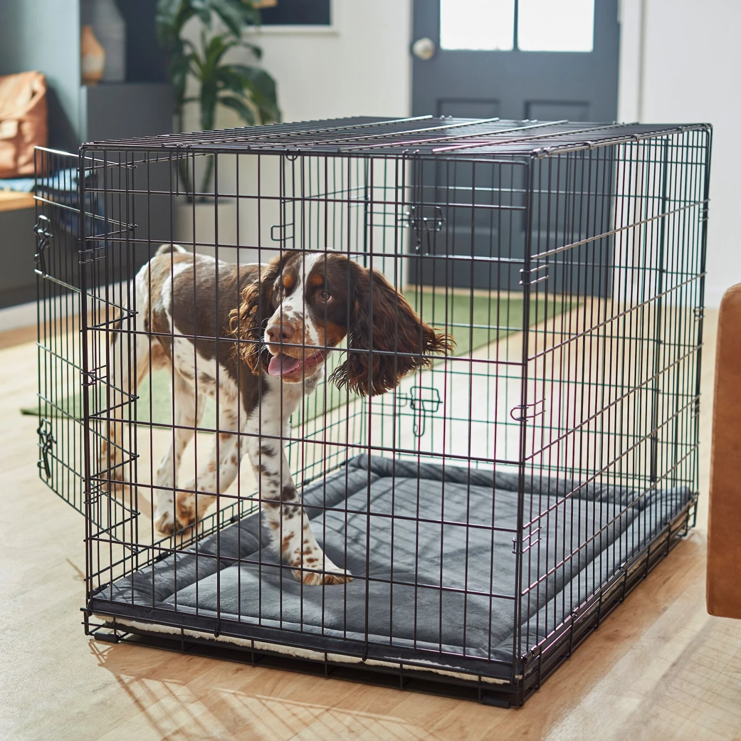 Frisco Self Warming Dog Crate Mat Frisco Self Warming Dog Crate Mat -Pet Store 255337 PT5. AC SS1800 V1616102293