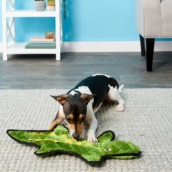 Frisco Alligator Stuffing-Free Flat Plush Squeaky Dog Toy & Frisco Raccoon Stuffing-Free Flat Plush Squeaky Dog Toy -Pet Store 255471 PT2. AC SS1800 V1602691584