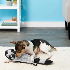 Frisco Alligator Stuffing-Free Flat Plush Squeaky Dog Toy & Frisco Raccoon Stuffing-Free Flat Plush Squeaky Dog Toy -Pet Store 255471 PT4. AC SS1800 V1602691287