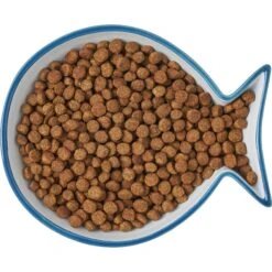 Frisco Fish Shaped Non-skid Ceramic Cat Dish -Pet Store 256109 PT6. AC SS1800 V1617196895