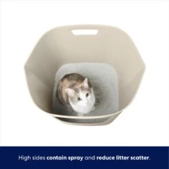 Frisco Leaf High-Sided Cat Litter Box, Large 4 Frisco Leaf High-Sided Cat Litter Box, Large -Pet Store 258782 PT2. AC SS1800 V1675279643