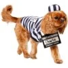 Frisco Prisoner Dog & Cat Costume -Pet Store 260933 MAIN. AC SS1800 V1624400089