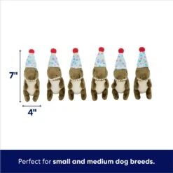 Frisco Birthday Volcano & Dinosaurs Hide & Seek Puzzle Plush Squeaky Dog Toy -Pet Store 264424 PT2. AC SS1800 V1695761147