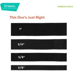 Frisco Midnight Floral Cat Collar -Pet Store 269490 PT6. AC SS1800 V1629992485