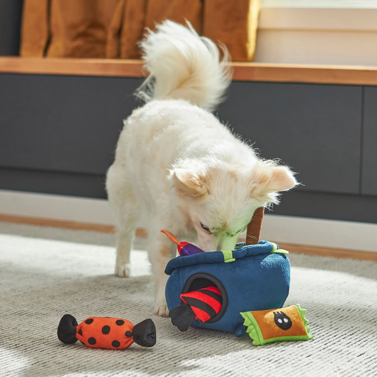 Frisco Halloween Candy Cauldron Hide & Seek Puzzle Plush Squeaky Dog Toy Frisco Halloween Candy Cauldron Hide & Seek Puzzle Plush Squeaky Dog Toy -Pet Store 270490 PT3. AC SS1800 V1689878557