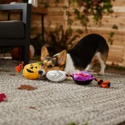 Frisco Halloween Haunted Friends Plush With Rope Squeaky Dog Toy -Pet Store 270500 PT3. AC SS1800 V1624825043