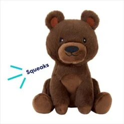 Frisco Camping Bear Plush Squeaky Dog Toy 4 Frisco Camping Bear Plush Squeaky Dog Toy -Pet Store 270999 PT2. AC SS1800 V1686579090