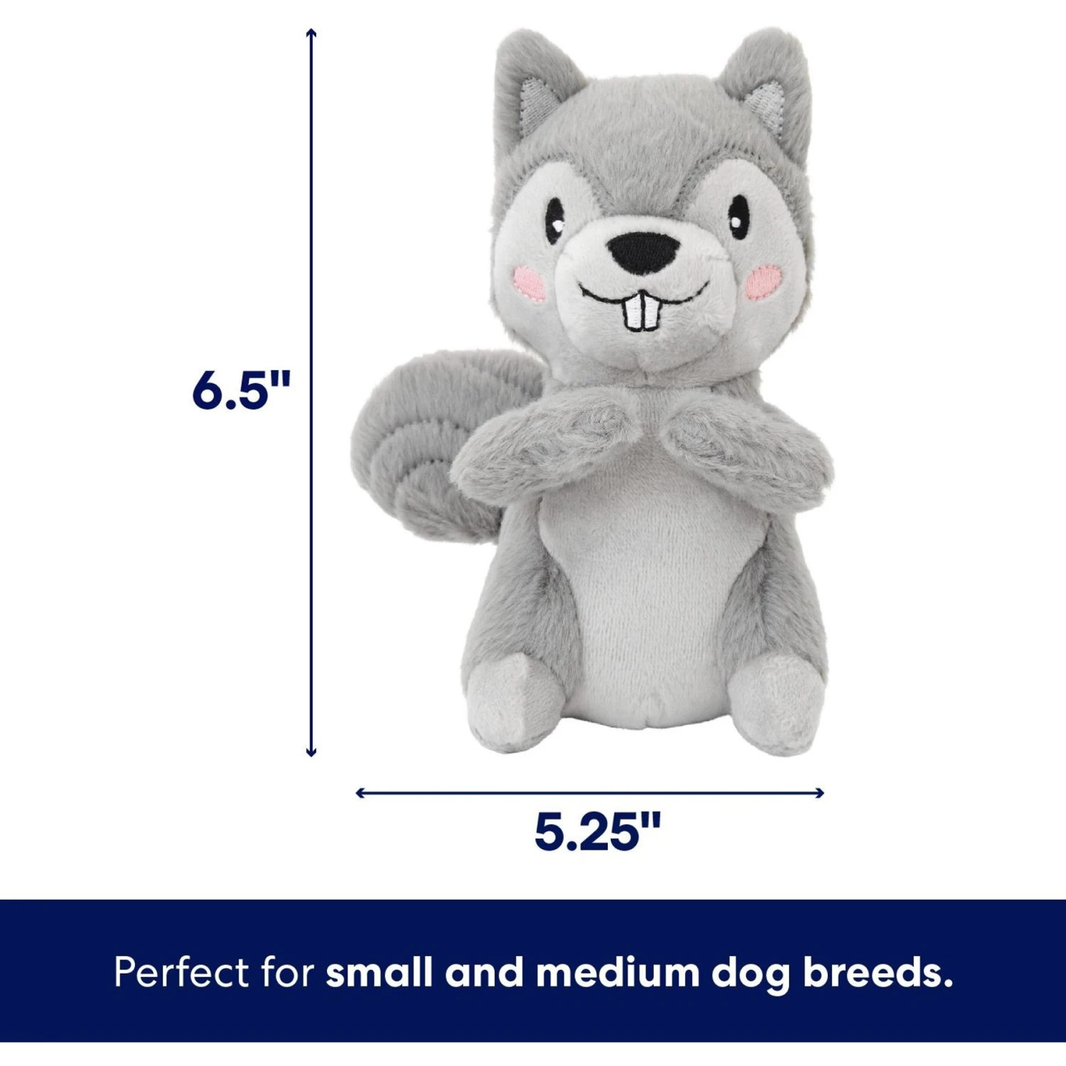 Frisco Camping Squirrel Plush Squeaky Dog Toy Frisco Camping Squirrel Plush Squeaky Dog Toy -Pet Store 271001 PT1. AC SS1800 V1686579631