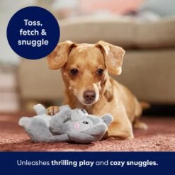 Frisco Camping Squirrel Plush Squeaky Dog Toy 6 Frisco Camping Squirrel Plush Squeaky Dog Toy -Pet Store 271001 PT5. AC SS1800 V1691785245