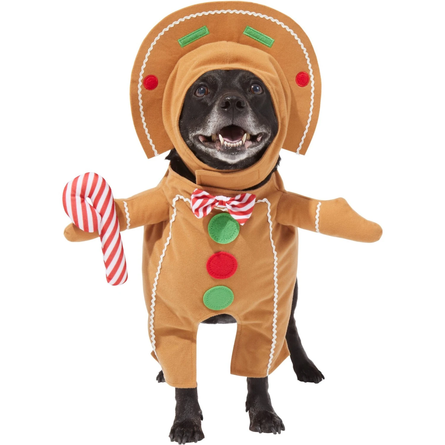 Frisco Front Walking Gingerbread Dog & Cat Costume Frisco Front Walking Gingerbread Dog & Cat Costume -Pet Store 276156 MAIN. AC SS1800 V1631659697