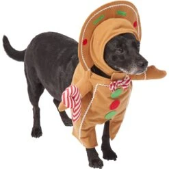 Frisco Front Walking Gingerbread Dog & Cat Costume 4 Frisco Front Walking Gingerbread Dog & Cat Costume -Pet Store 276156 PT3. AC SS1800 V1631660334